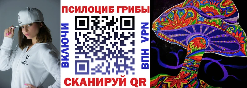 где найти наркотики  Берёзовка  Галлюциногенные грибы GOLDEN TEACHER 